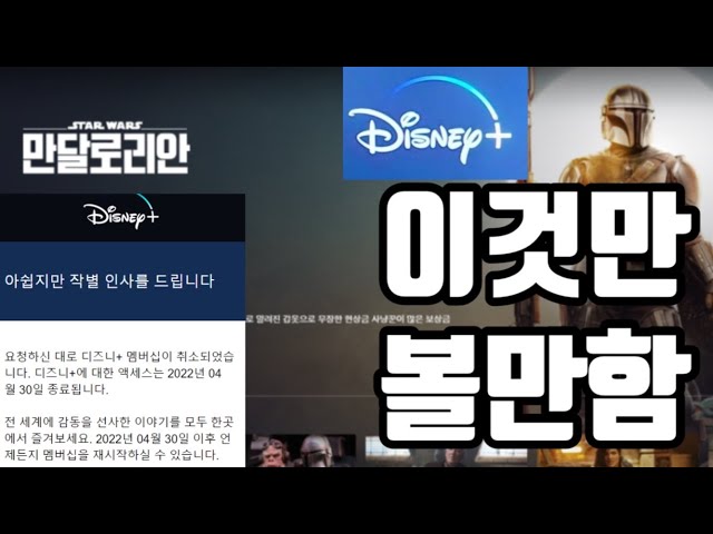구독 상품기획자가 말하는 디즈니 플러스 한 달만에 해지한 이유, 디즈니+ 장단점(feat. 가정의달)
