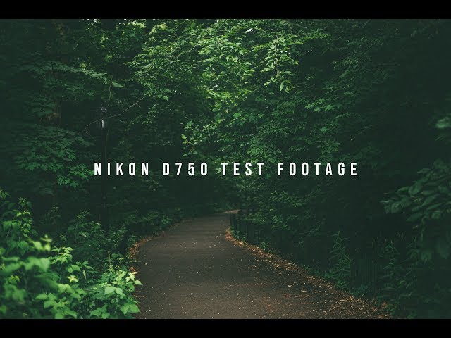 Nikon D750 - DJI RONIN S - "Test Footage"