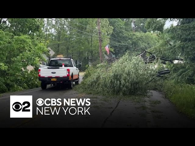 Storms bring down trees, cause damage north of NYC