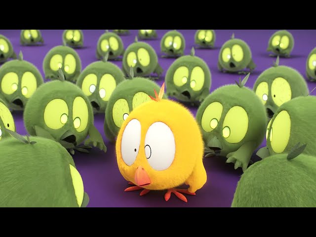 Invasão das Chickies | Onde está Chicky? | Pintinha amarelinho | Coleção desenhos animados Infantil