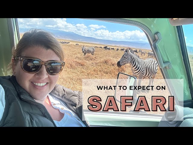 What to Expect on Safari - A Typical Day on Safari in the Serengeti