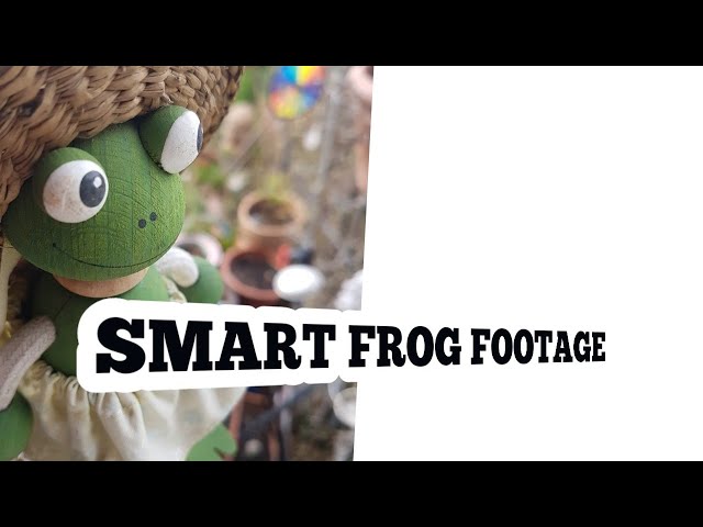 Smartfrog home cctv footage