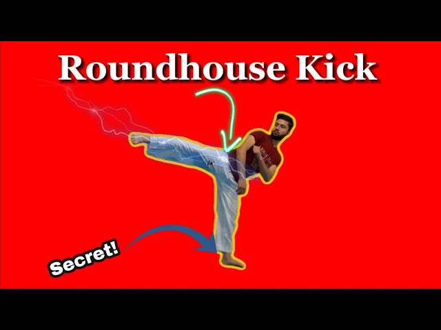 TOP 2 Secrets for this Powerful Kick : Master the Roundhouse kick