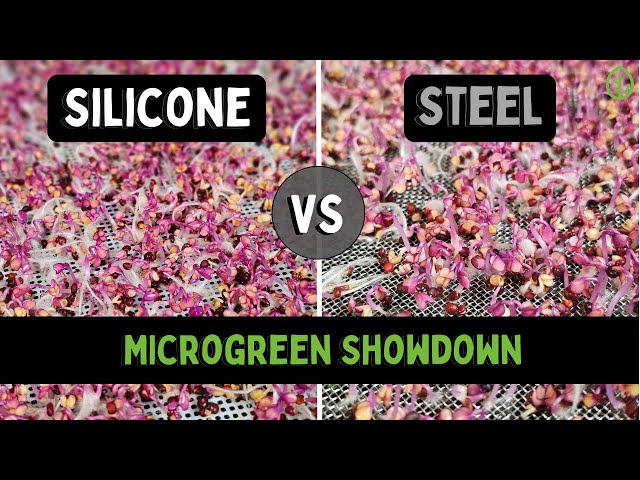 Reusable Grow Medium Showdown: Silicone vs Steel for Growing Microgreens | Hydroponics | Soilless