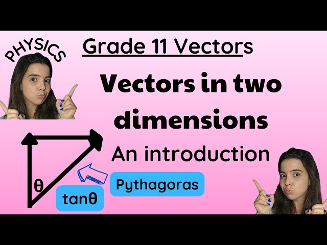 Grade 11 vector in two dimensions physics LEVEL EASY