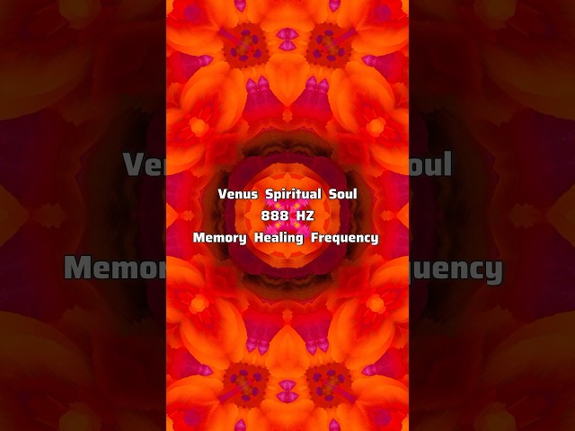 Venus Spiritual Soul ⋁ 888 HZ Memory Healing Frequency ⋁ AWAKENING NOW