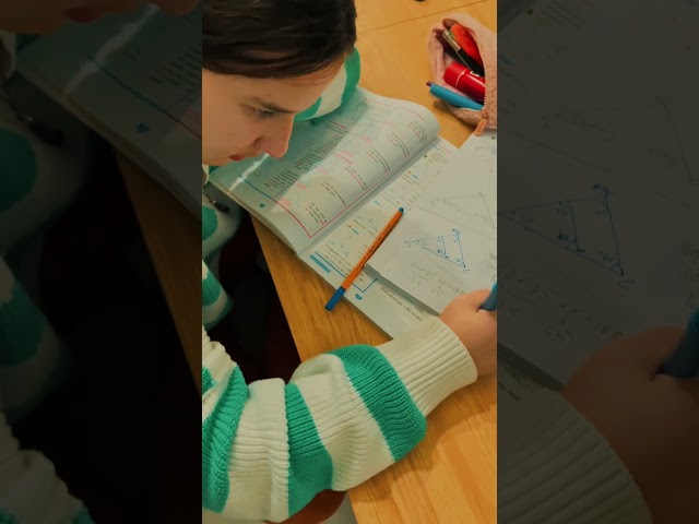 Eğlenirken  öğrenmek ✨💫 #matematik #ders #eğitim #rehber #kedi