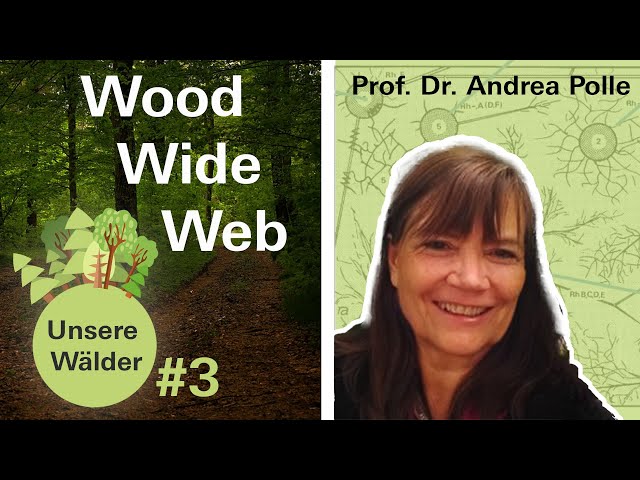 Wood Wide Web - Fakten und Mythen um Mykorrhizen - Vortrag von Prof. Andrea Polle