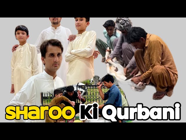 Sharoo Brothers ki Qurbani | BarQ Party