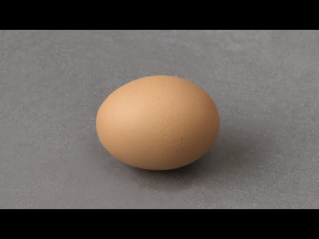 egg [Dream SMP]