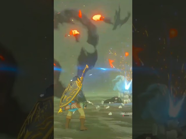 Can someone please explain this? #botw