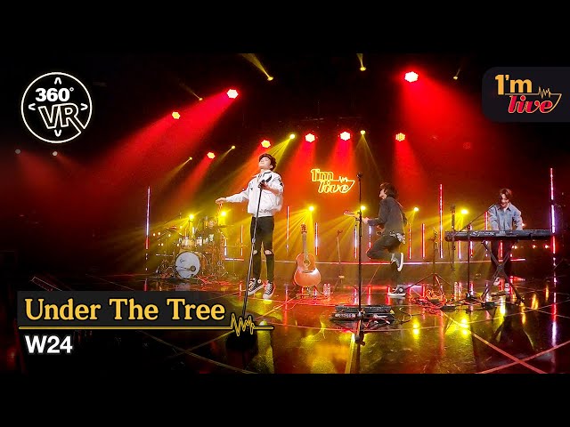 [360VR] W24 (더블유투웬티포) ‘Under The Tree (내가 너의 위로되어)’ _ 360° Video