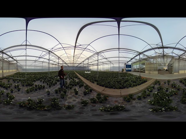 GärtnerIn Fachrichtung Zierpflanzenbau bei Paul Cox