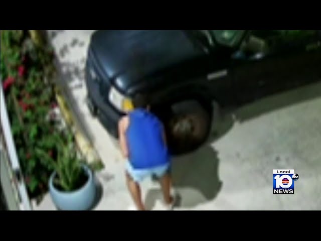 Video shows former HOA president's vandalism spree, Miami Beach police say