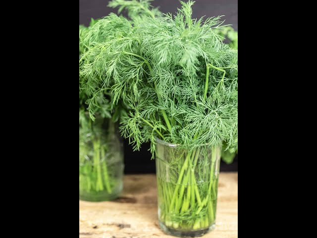 How to Store Herbs so they last! #shorts