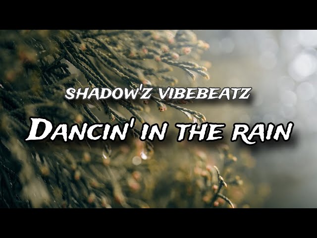Dancin' in the Rain | Shadowz | Vibebeatz | #popmusic #melody #song #new #viral