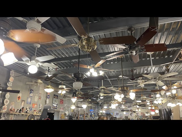 Fanimation Museum Upper Level Ceiling Fans (August 2021)