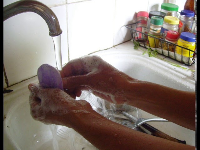 Hand washing | Wikipedia audio article