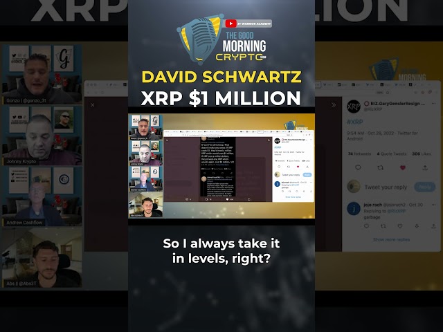David Schwartz XRP $1 Million #shorts #crypto #xrp #ripple