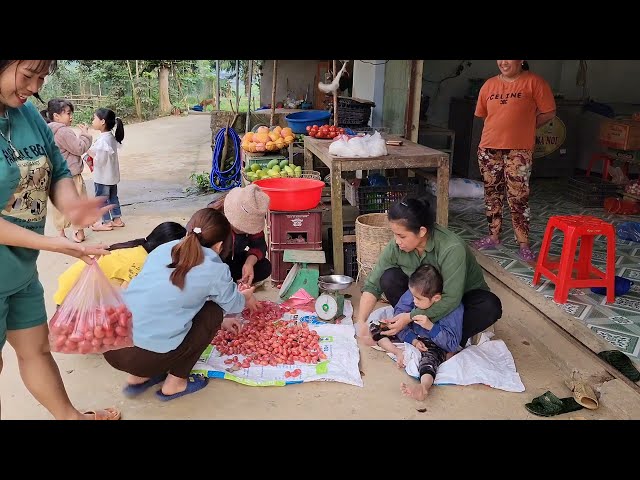 Single mother collects ripe red fruits to sell, does gardening, and takes care of her children