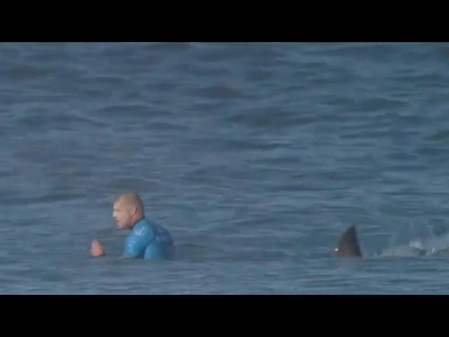 Pro surfer fights off attacking shark