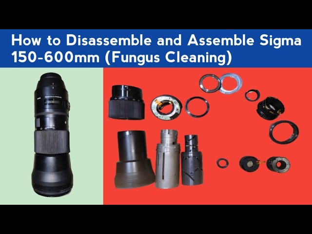 Sigma 150-600mm f/1:5.6.3 DG Fungus Cleaning || How to Disassemble Sigma 150-600mm lens