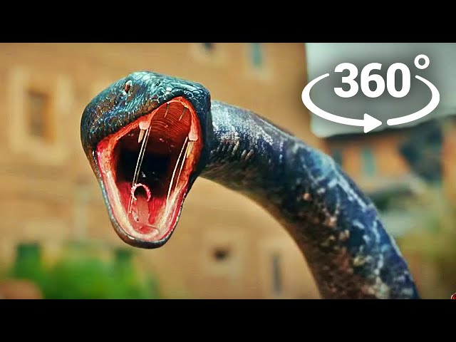 360° GIANT SNAKE CHASES YOU! VR