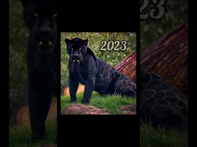 2023 jaglion and 5000bce jaglion || Past animals ||#shorts #Trend #trend #new #evolution #animal