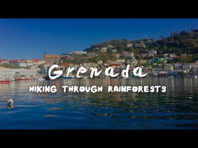 Grenada - Hiking Through Rainforests - My Trip to Grenada