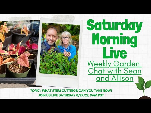 ☕ What Stem Cuttings Can You Take Right NOW! | Saturday Morning LIVE Garden Chat ☕
