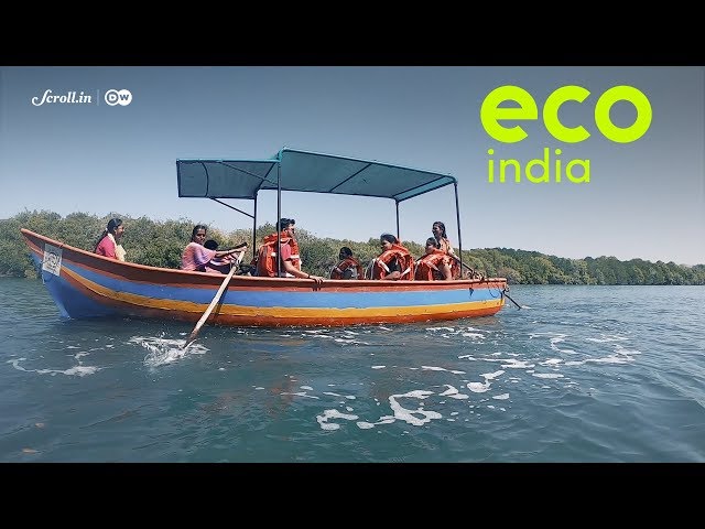 Eco India: How tourism is aiding fisherwomen to preserve mangroves in the backwaters of Vengurla