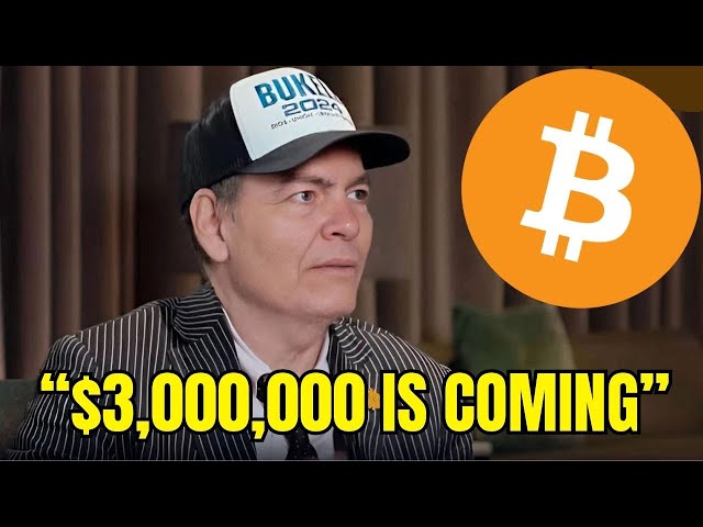 “Here’s How One Bitcoin Will Be Worth $3 Million” - MaxKeiser