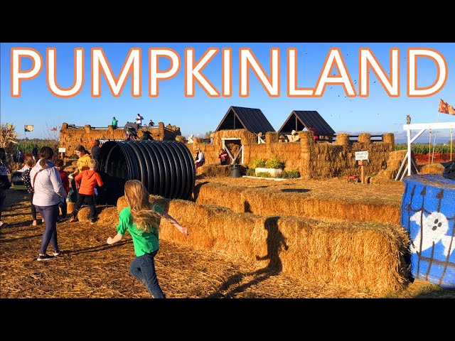 We Went To Pumpkinland At Thies Farm's Pumpkin Patch 2021! Mud Maze, Slides, Ziplines, Kettle Corn