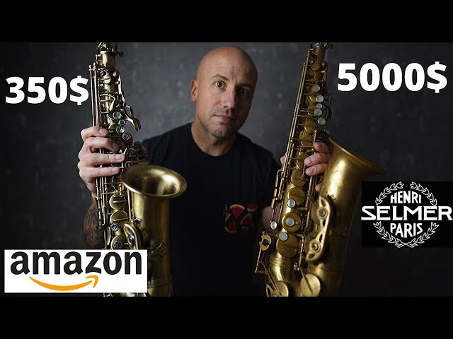 $350 Saxophone vs Selmer Mark VI (English subtitles)