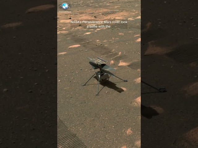 Mars Rover Perseverance Selfie With Mars Helicopter #perseverance #nasa #mars #shorts