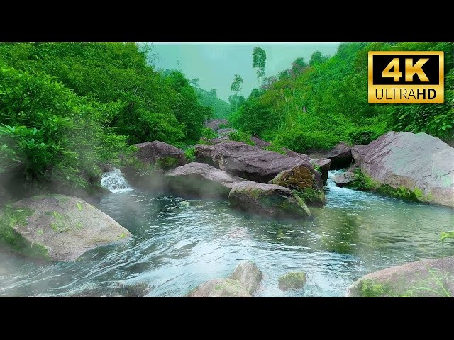 Magnificent Life Safari 4K 🌿 Discovery Relaxation Film with Peaceful Relaxing Nature Music & Nature