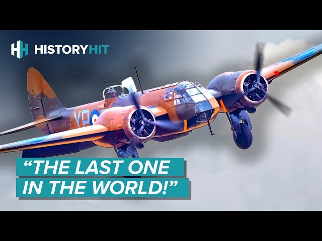 The Rarest World War Two Planes You've Never Heard Of