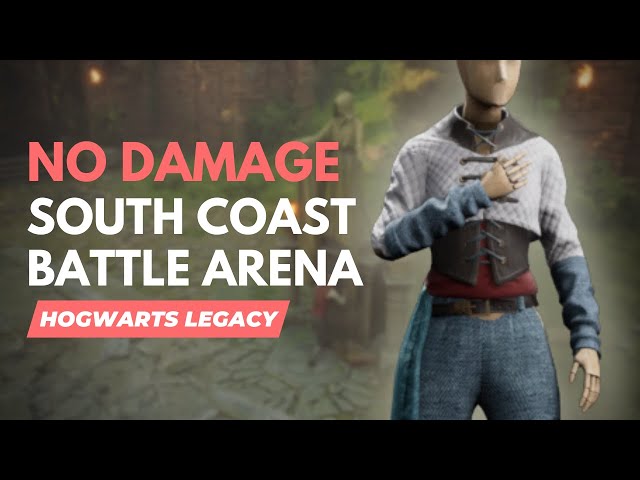 Hogwarts Legacy - South Coast Battle Arena HARD (No Damage) No Potions/Plants/Curses [4K 60FPS]