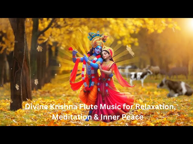 🎶  Divine Krishna Flute Music for Relaxation, Meditation & Inner Peace 🎶 #krishna #krishnabhajan