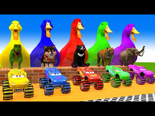 5 Giant Duck Cartoon,Lion,Cow,rabbit,Gorilla,Elephant,Dog,Cat Wild Animals Crossing Fountain 2023