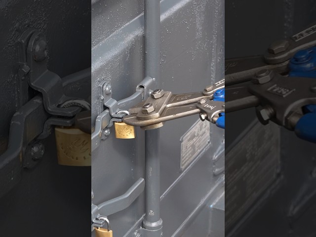 High security padlock system! #locksmith #lockpicking #homesecurity #springonshorts #container