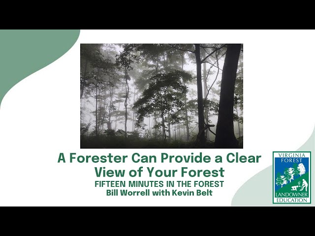 Fifteen Minutes in the Forest: A Forester Can Provide a Clear View of Your Forest, Part 1