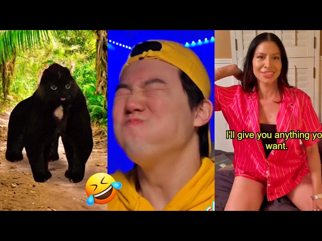 Try Not To Laugh | FUNNY TIKTOK VIDEOS pt100 #ylyl