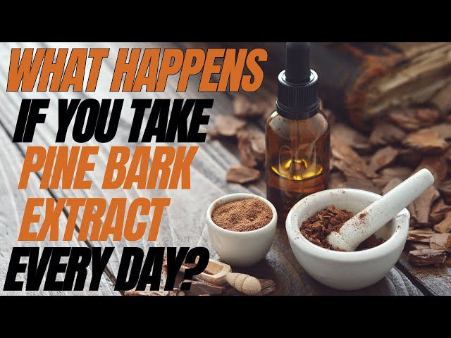 What Happens If You Take Pine Bark Extract every day?