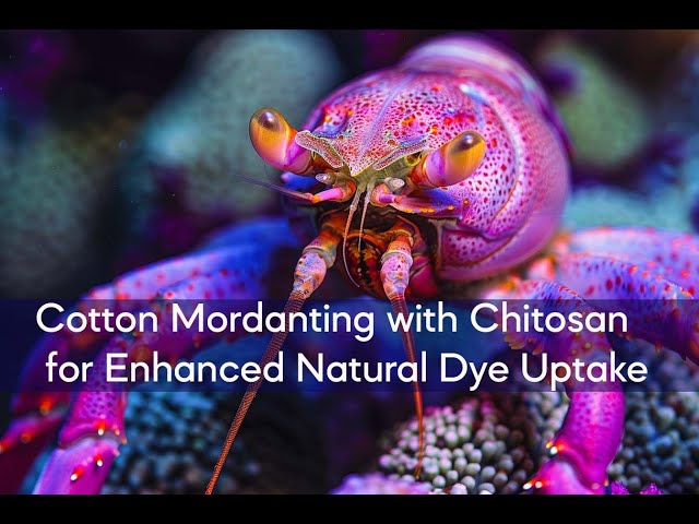Cotton Mordanting with Chitosan for Enhanced Natural Dye Uptake