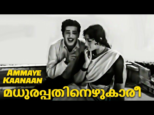 Sathyan Romantic Old Superhit Malayalam Song l Ammaye Kaanaan Movie | Madhu, Ambika
