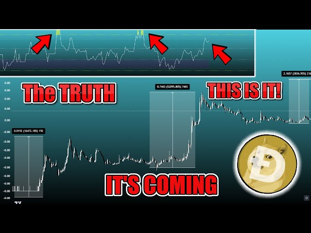 MUST WATCH! EVERYONE IS WRONG!? $2 DOGE Coin COMING?  The TRUTH About $1 Dogecoin DOGE Update Today