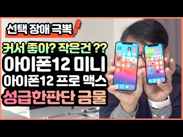 [ENG SUB] Do you like it? Do you like small? IPhone 12 Pro Max, iPhone 12 Mini, etc