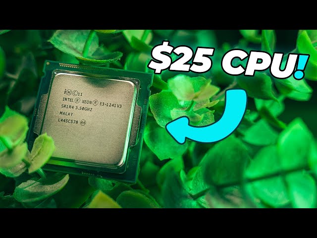 The Xeon E3 1241 V3 is the BEST Budget CPU!