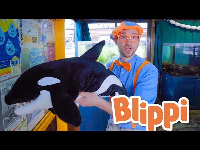 Blippi Learns About Sea Creatures! | Learn About Animals For Kids | Educational Videos For Toddlers